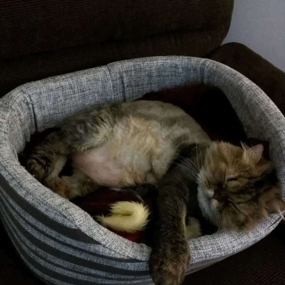 Review image 2 from Amelia Venter